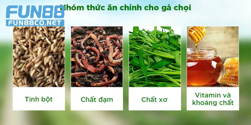 Các thành phần tự nhiên trong thuốc đá gà Energen