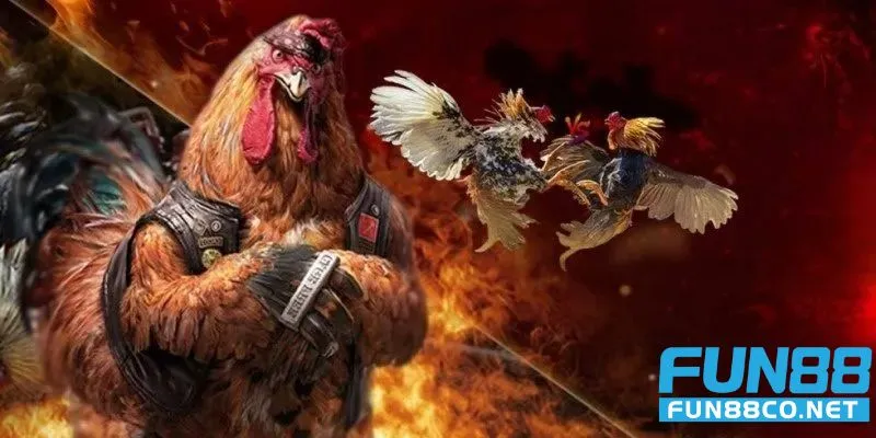 Chiến kê lên sàn - Giây phút căng thẳng
