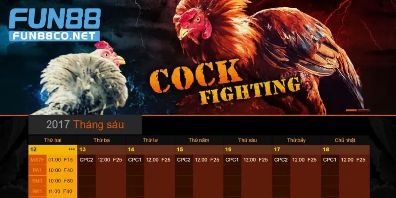 Danh sách trận đấu đá gà Thomo mới nhất