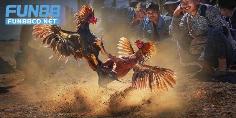 Khoảnh khắc ra đòn chí mạng