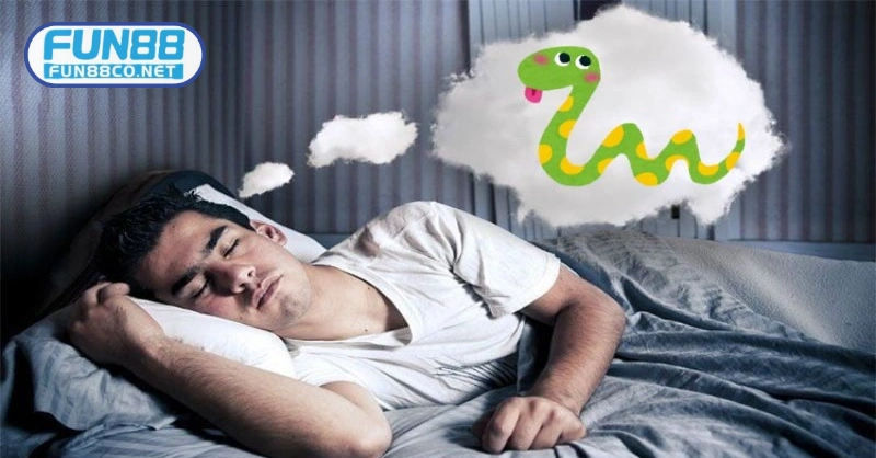 Nhớ rõ con vật xuất hiện trong chiêm bao để tìm con số có nghĩa