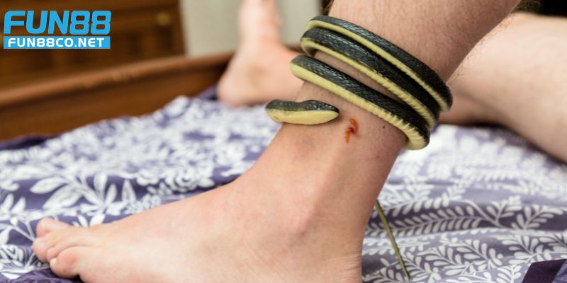 Giải mã giấc mơ thấy rắn thường là điềm lành đối với người kinh doanh