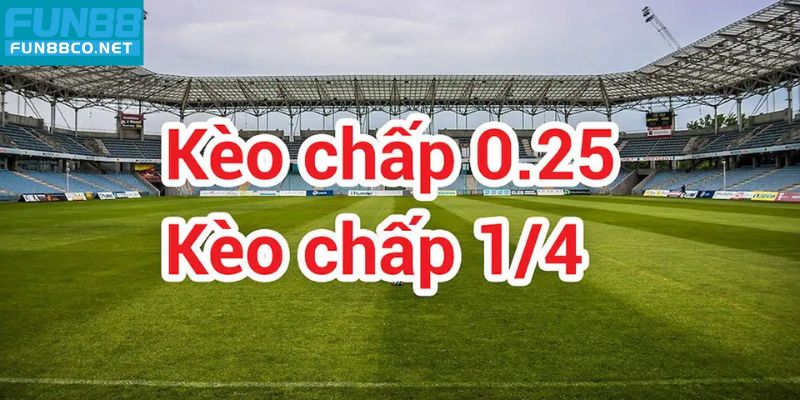 Tìm hiểu khái niệm kèo 1/4 là bao nhiêu