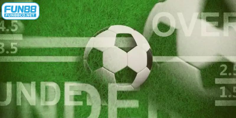 Nhiều thuật ngữ cơ bản có trong bảng kèo bóng đá